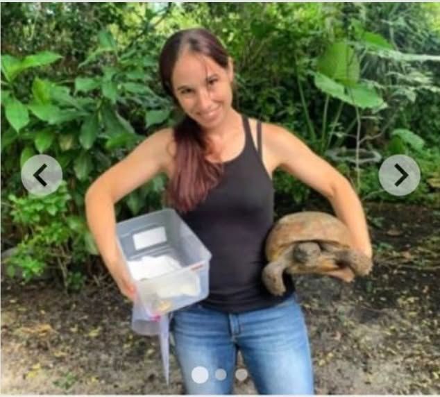 Rescue, Care and Rehabilitation of Reptiles
